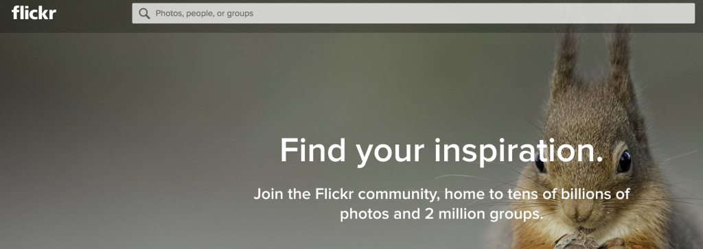 Flickr画像検索